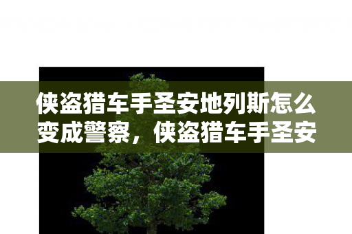 侠盗猎车手圣安地列斯怎么变成警察图片