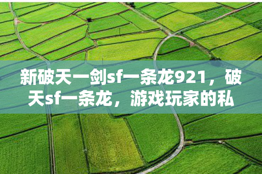新破天一剑sf一条龙921图片