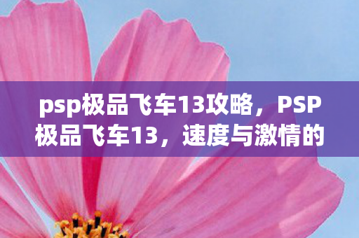psp极品飞车13攻略图片