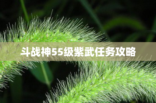 斗战神55级紫武任务攻略图片
