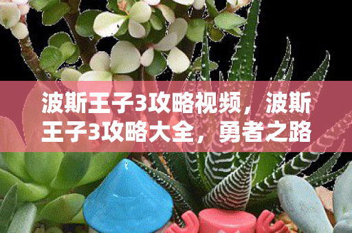 波斯王子3攻略视频图片