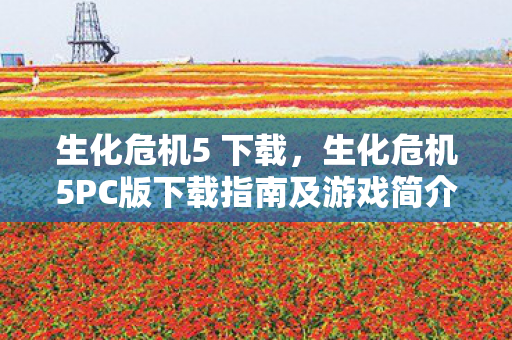 生化危机5PC版下载指南及游戏简介图片