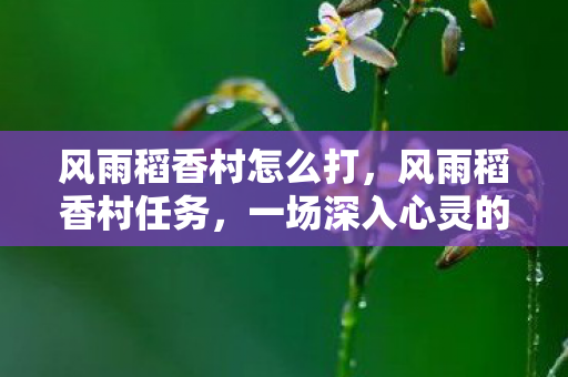 一场深入心灵的旅程图片
