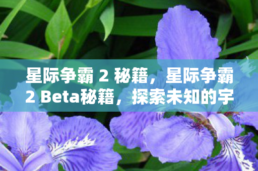 星际争霸2 Beta秘籍图片