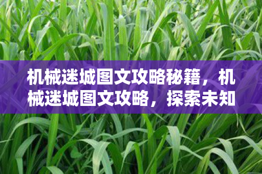 探索未知世界的冒险之旅图片