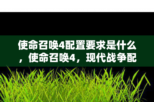 使命召唤4配置要求是什么图片