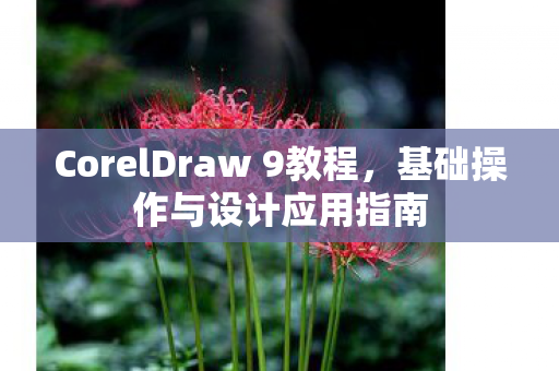CorelDraw 9教程图片