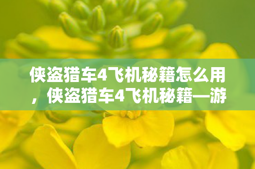 侠盗猎车4飞机秘籍怎么用图片