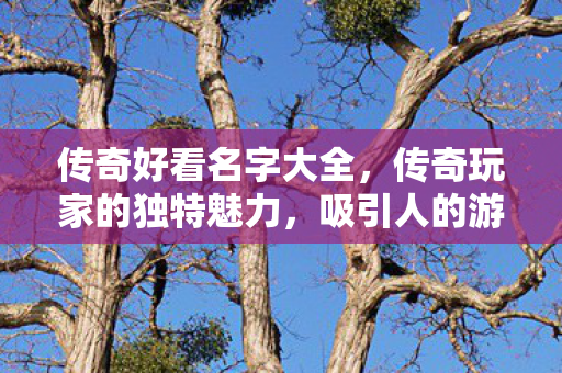 吸引人的游戏角色名字背后的故事图片