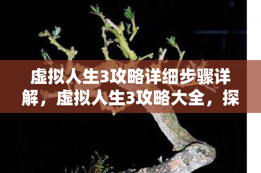 虚拟人生3攻略详细步骤详解图片