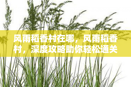 风雨稻香村在哪,风雨稻香村,深度攻略助你轻松通关 风雨稻香村在哪,风雨稻香村,深度攻略助你轻松通关