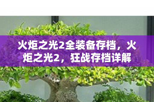 火炬之光2全装备存档图片