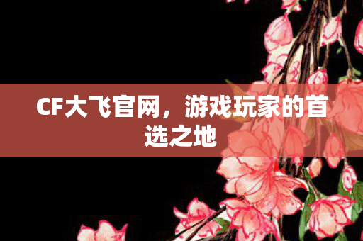 游戏玩家的首选之地图片