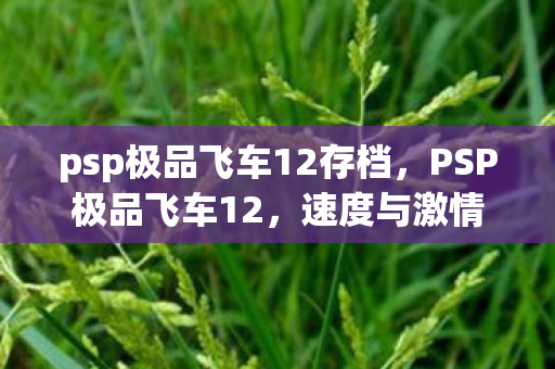 psp极品飞车12存档图片