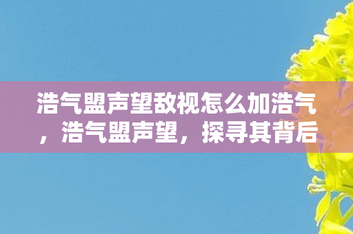 浩气盟声望敌视怎么加浩气图片
