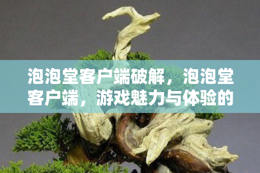 游戏魅力与体验的全面解析图片