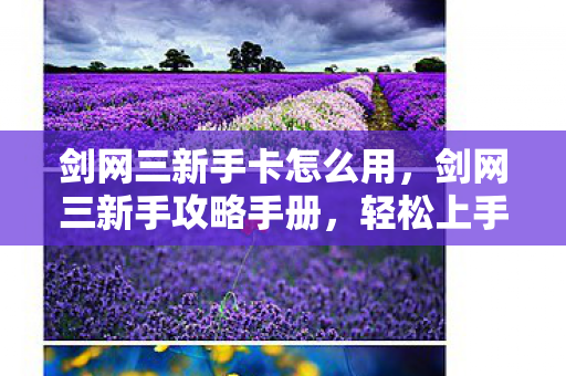 剑网三新手卡怎么用图片