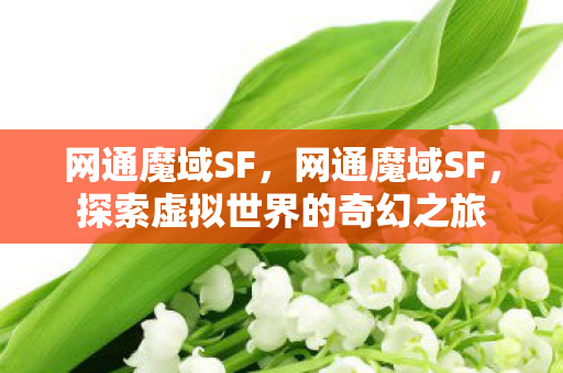探索虚拟世界的奇幻之旅图片