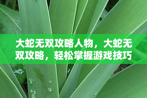 大蛇无双攻略人物图片