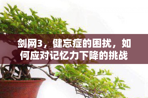 剑网3,健忘症的困扰,如何应对记忆力下降的挑战 剑网3,健忘症的困扰,如何应对记忆力下降的挑战