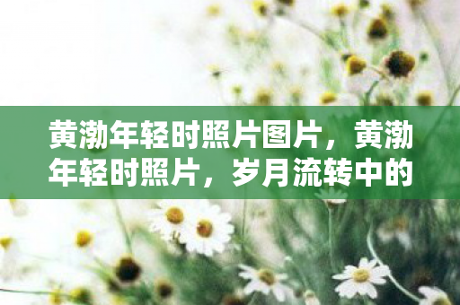 岁月流转中的青涩印记图片