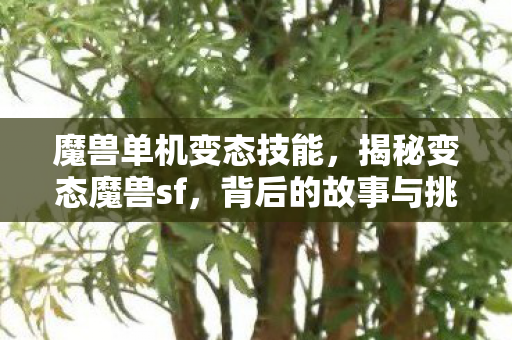 魔兽单机变态技能图片