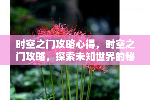 探索未知世界的秘密路径图片