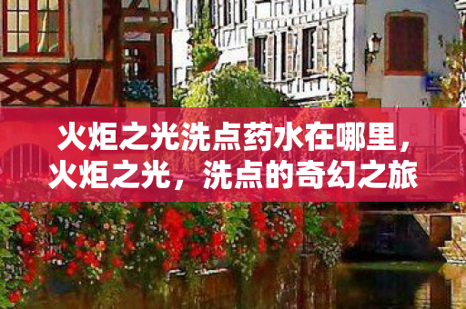 火炬之光洗点药水在哪里图片