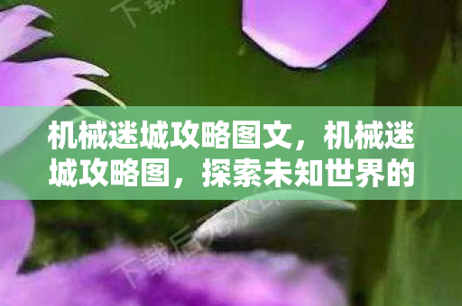 探索未知世界的冒险之旅图片