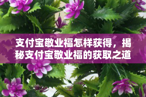 揭秘支付宝敬业福的获取之道图片