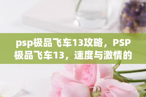 psp极品飞车13攻略图片