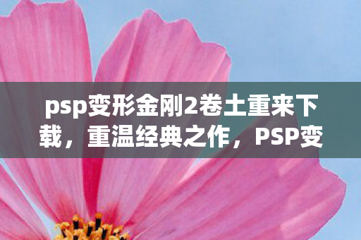 PSP变形金刚2的深度解析与回顾图片