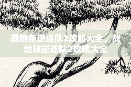 战地叛逆连队2攻略大全图片