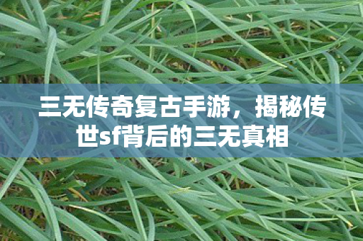 三无传奇复古手游,揭秘传世sf背后的三无真相 三无传奇复古手游,揭秘传世sf背后的三无真相