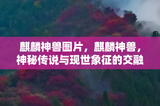 麒麟神兽图片,麒麟神兽,神秘传说与现世象征的交融 麒麟神兽图片,麒麟神兽,神秘传说与现世象征的交融