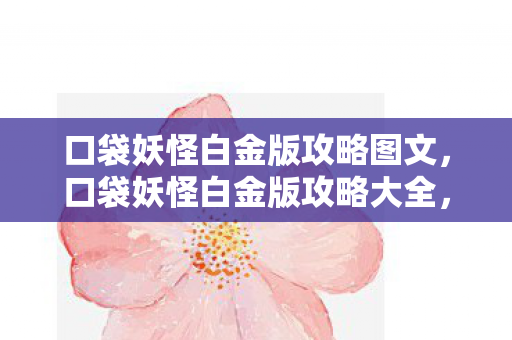 口袋妖怪白金版攻略图文图片