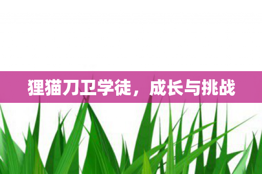 狸猫刀卫学徒图片