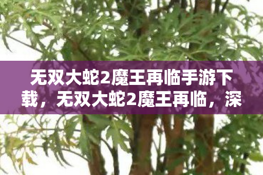 无双大蛇2魔王再临手游下载图片