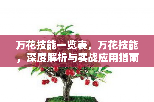 深度解析与实战应用指南图片