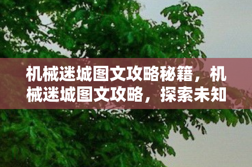 探索未知世界的冒险之旅图片