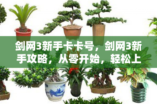 剑网3新手卡卡号图片