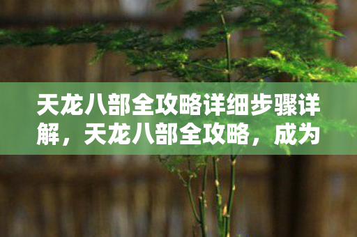 天龙八部全攻略详细步骤详解图片