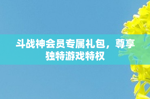 斗战神会员专属礼包图片