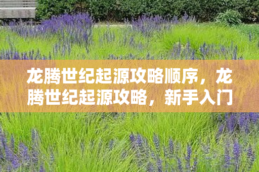 新手入门指南与游戏心得分享图片