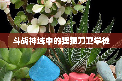 斗战神域中的狸猫刀卫学徒图片