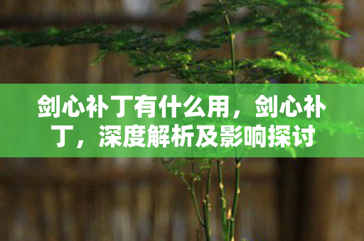 深度解析及影响探讨图片