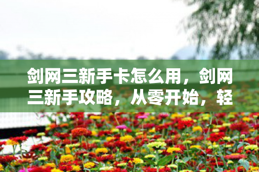 剑网三新手卡怎么用图片