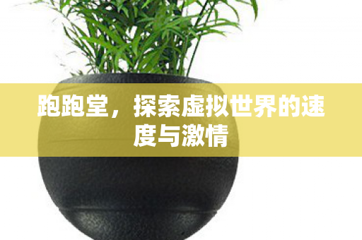 探索虚拟世界的速度与激情图片