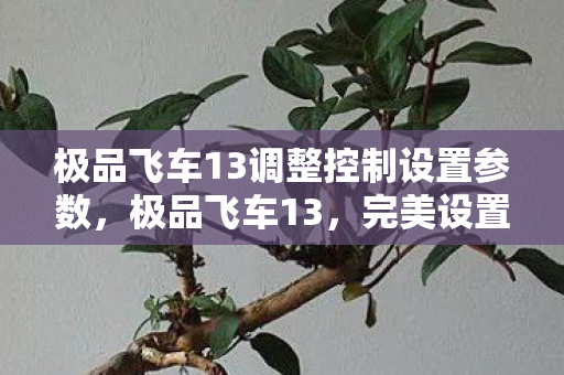 极品飞车13调整控制设置参数,极品飞车13,完美设置指南 极品飞车13调整控制设置参数,极品飞车13,完美设置指南
