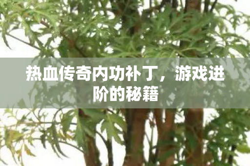 热血传奇内功补丁图片